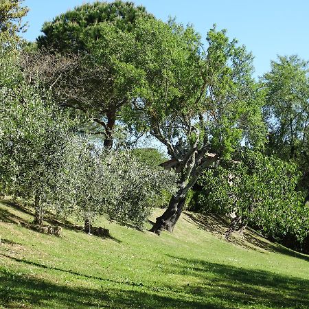 몬테스페르톨리 Santa Maria Della Pace B&B 외부 사진